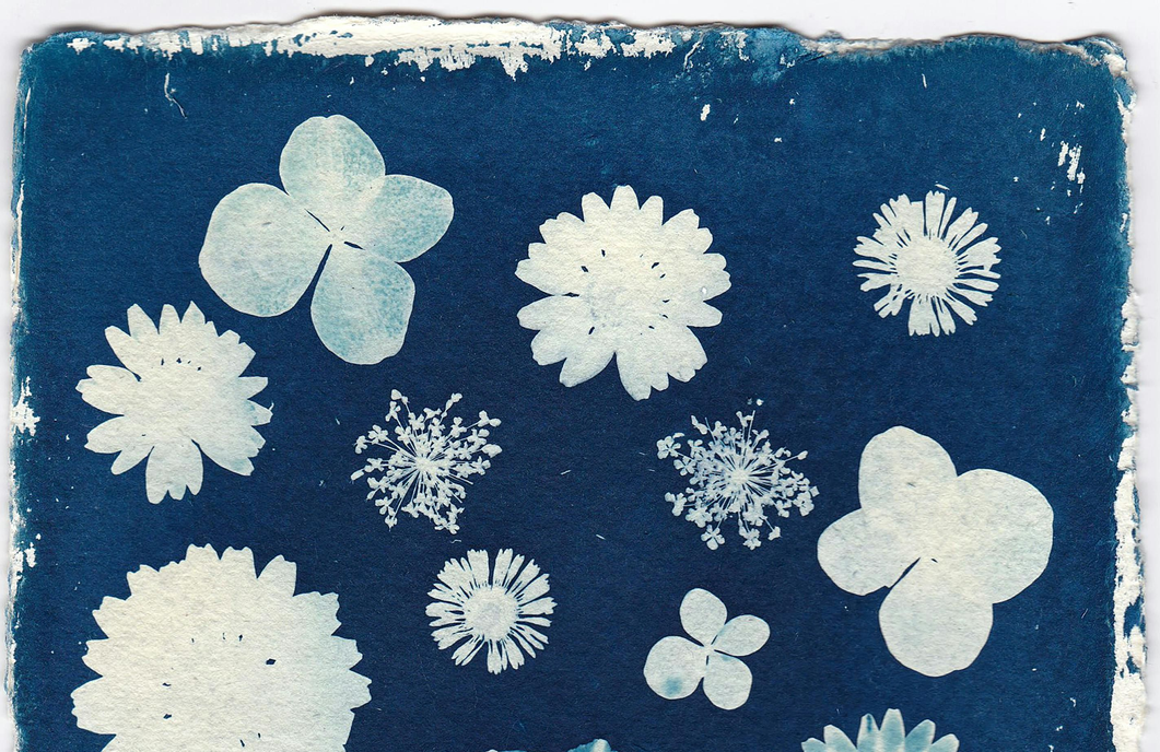 Cyanotype