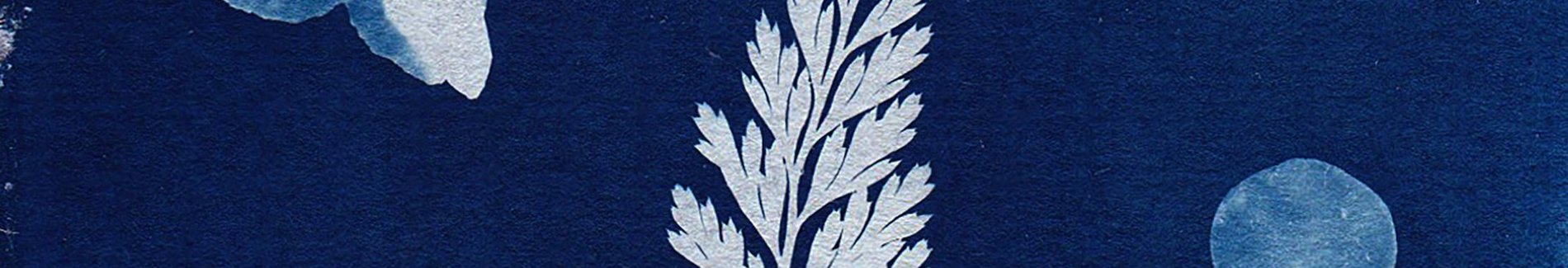Cyanotype