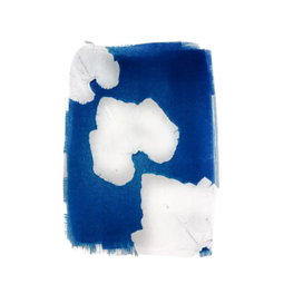 Cyanotype